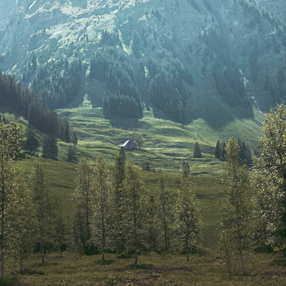 Projektplanung, -Begleitung und Leitung im Umweltbereich. Bild: Hochmoorlandschaft im Eriz